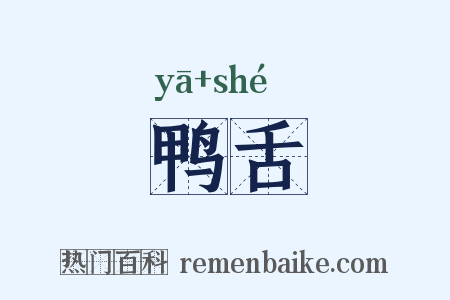 鸭舌是什么意思的图片